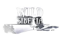 Wild Siberia image